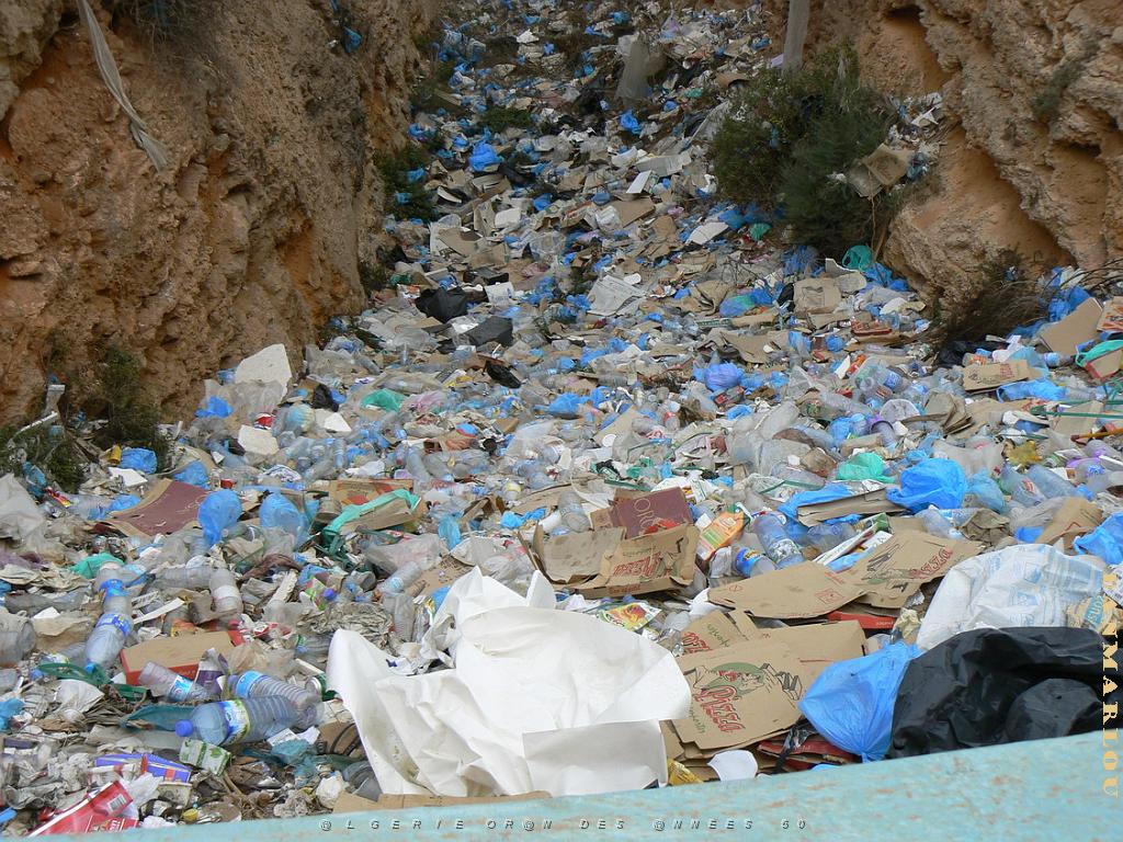 ORAN 2009 les falaises Gambetta 02.jpg